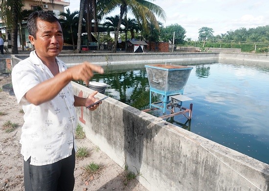 Kinh nghiệm nuôi ba ba kết hợp cá lóc bông từ lão nông Tây Ninh